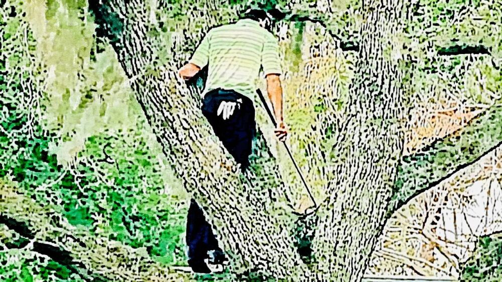 木の上に止まったボールを打つゴルファー